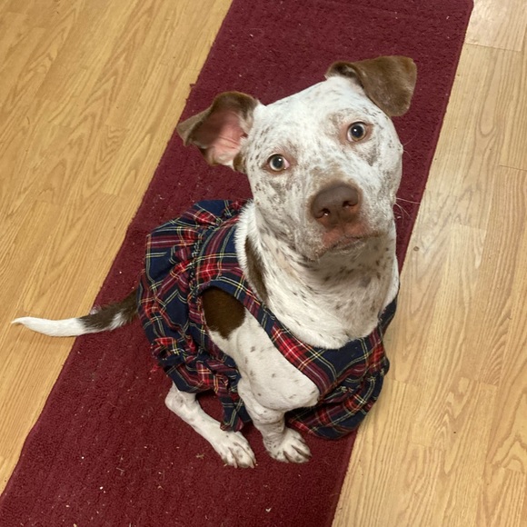 Meet your Posher, Kimberly - Picture 13 of 16